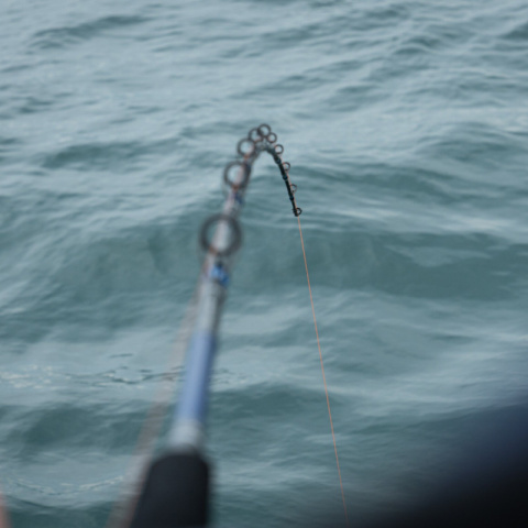 Daiwa Saltist Boat Rods9.jpg